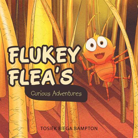 Cover image for book Flukey  Flea's Curious Adventures