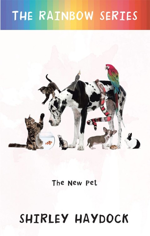 Cover image for book The Rainbow Series