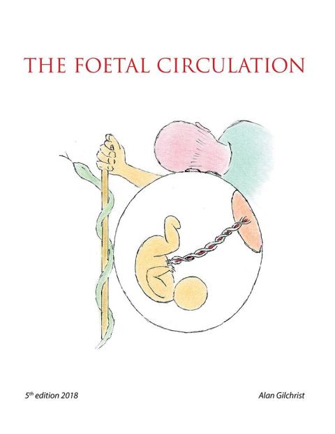 Cover image for book The Foetal Circulation