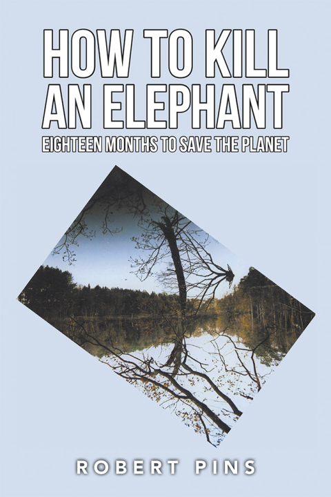 Cover image for book How to Kill an Elephant