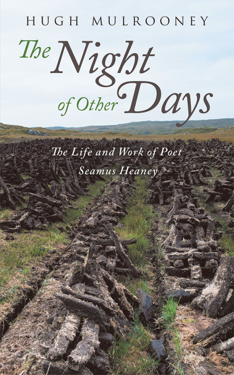 Cover image for book The Night of Other Days
