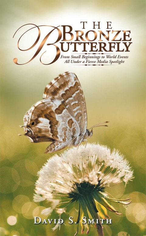 Cover image for book The Bronze Butterfly