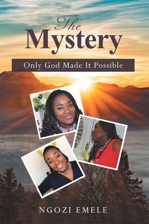 Cover image for book The Mystery