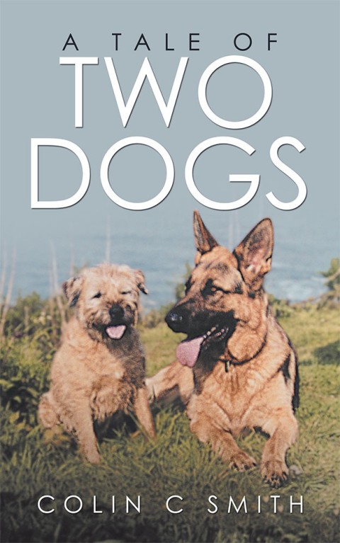 Cover image for book A Tale of Two Dogs