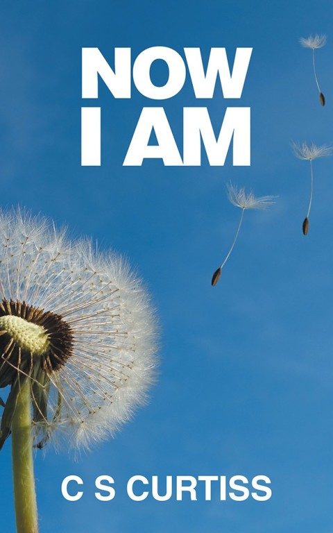 Cover image for book Now I Am