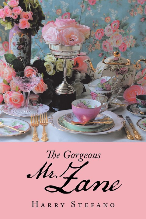 Cover image for book The Gorgeous Mr Zane
