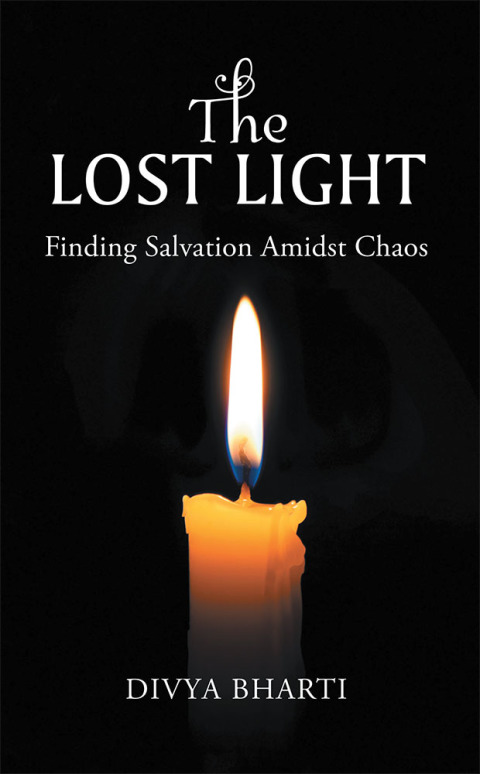 Cover image for book The Lost Light