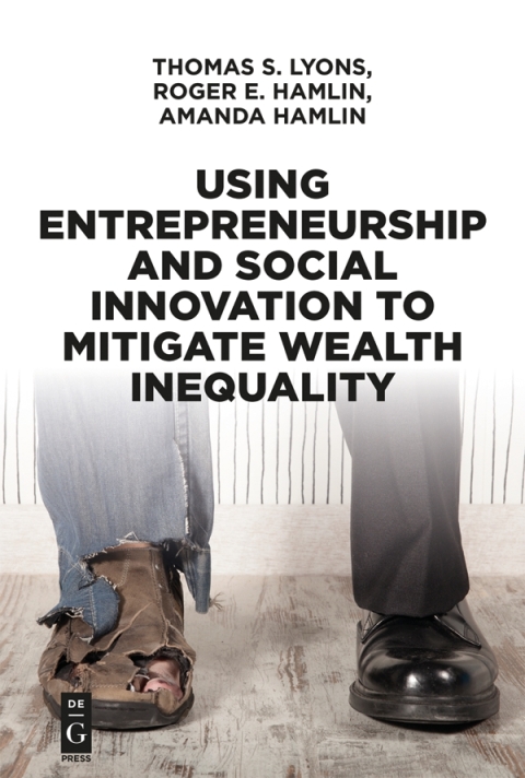 Using Entrepreneurship and Social Innovation to Mitigate Wealth Inequality 