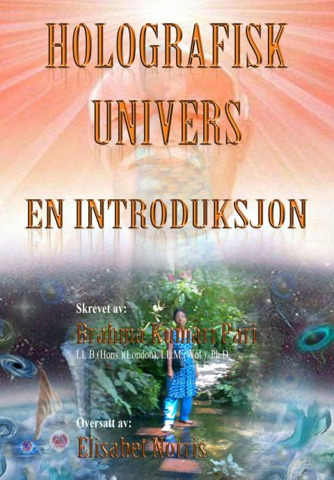Cover image for book Holografisk Univers: En Introduksjon
