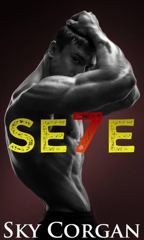 Cover image for book Se7e