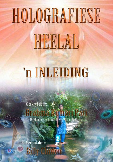 Cover image for book Holografiese Heelal: 'n Inleiding