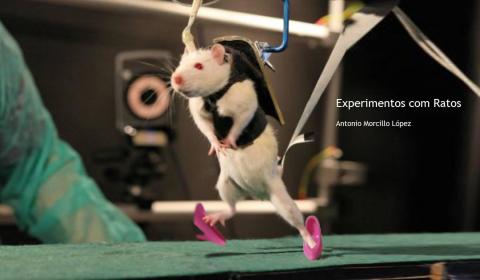 Cover image for book Experimentos com Ratos