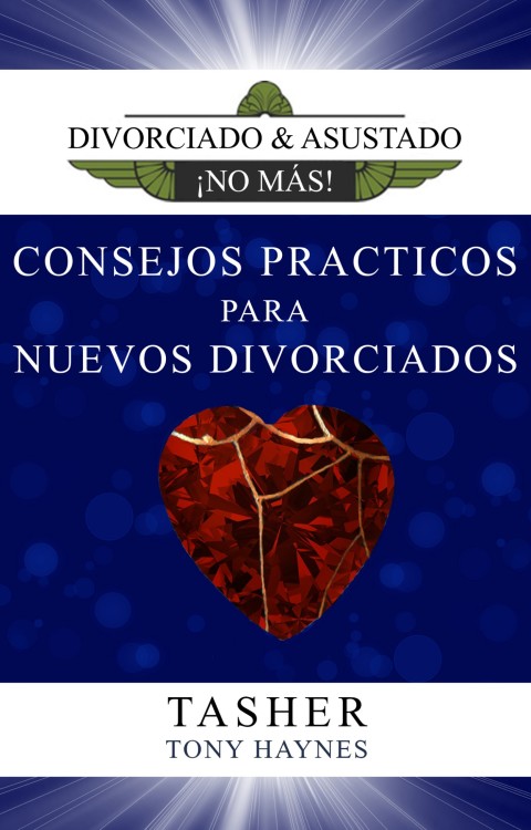 Cover image for book Consejos Prácticos Para Nuevos Divorciados