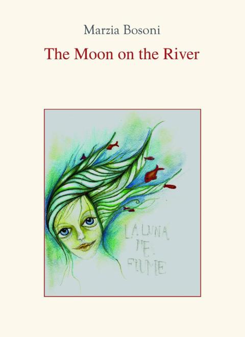 Cover image for book The Moon on the River