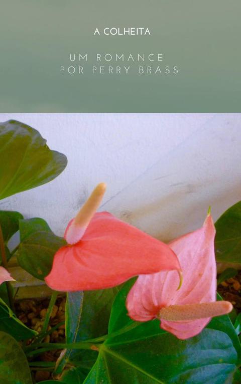 Cover image for book A Colheita