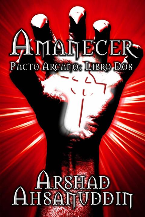Cover image for book Amanecer
