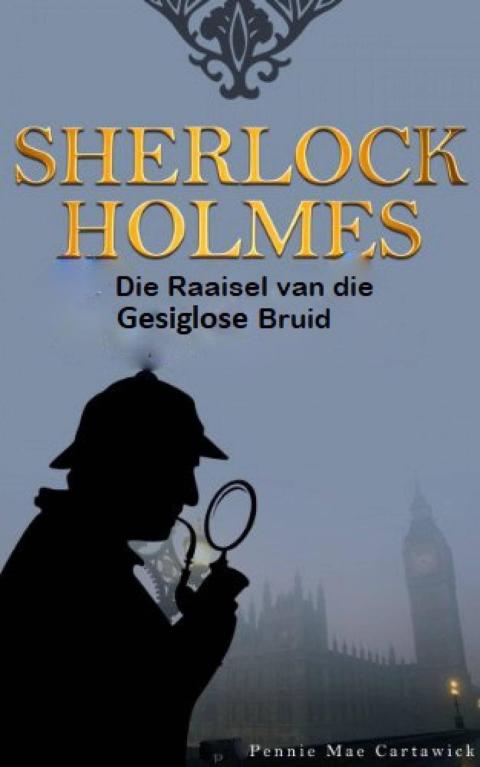 Cover image for book Die Raaisel van die Gesiglose Bruid