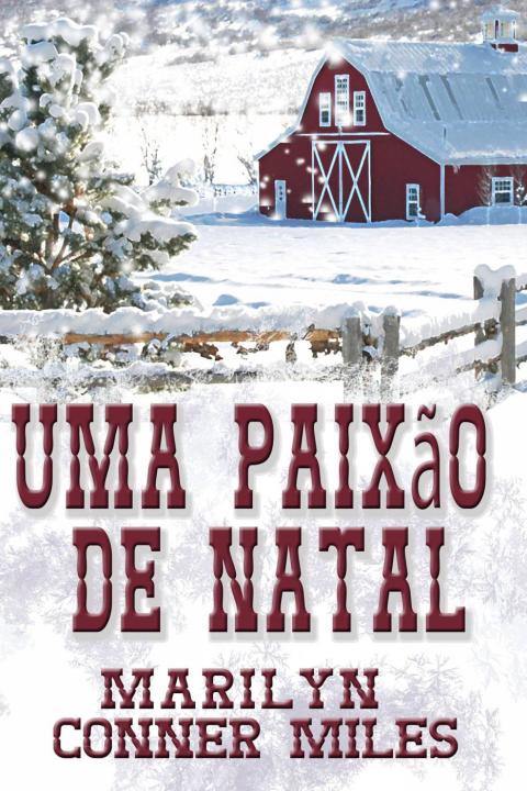 Cover image for book Uma Paixão de Natal
