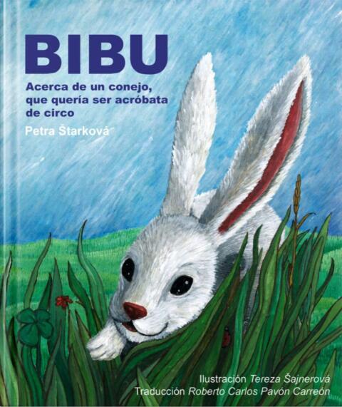 Cover image for book Bibu