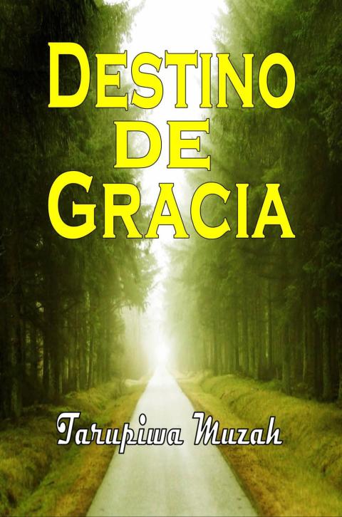 Cover image for book Destino de Gracia