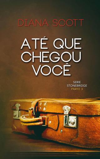Até Que Chegou Você