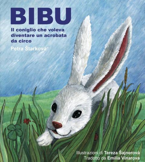 Cover image for book Bibu