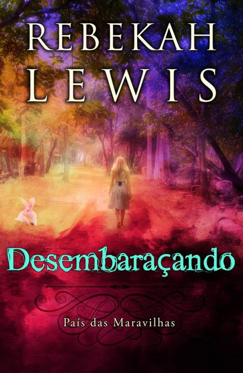Cover image for book Desembaraçando