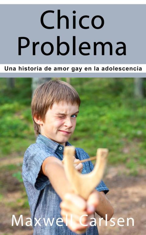 Cover image for book Chico Problema: Una historia de amor gay en la adolescencia