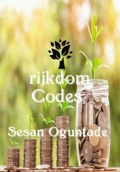 Cover image for book Rijkdomcodes