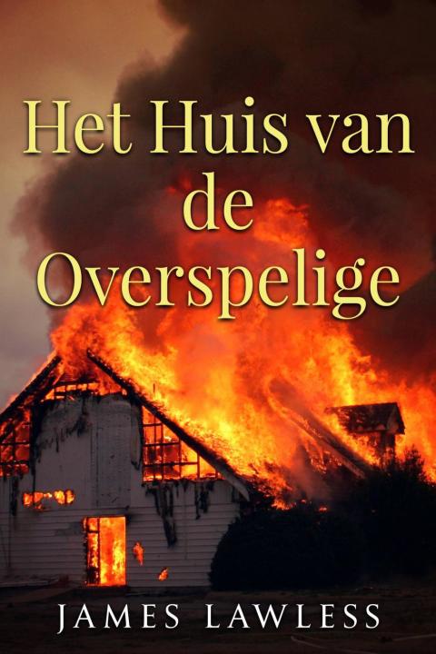 Cover image for book Het huis van de overspelige