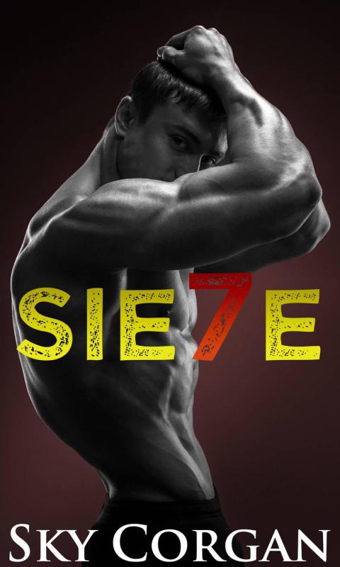 Cover image for book Sie7e