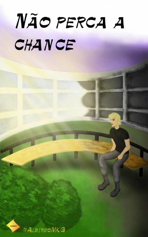 Cover image for book Não perca a chance