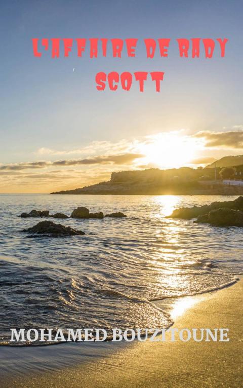 Cover image for book L'affaire de Rady Scott