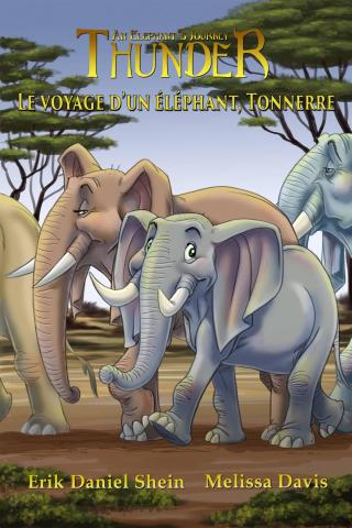 Le voyage d’un éléphant, Tonnerre