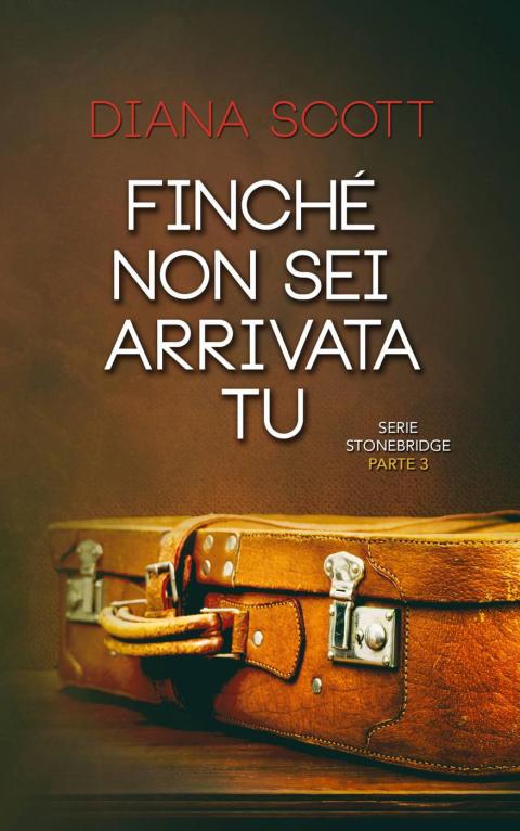 Cover image for book Finché non sei arrivata tu