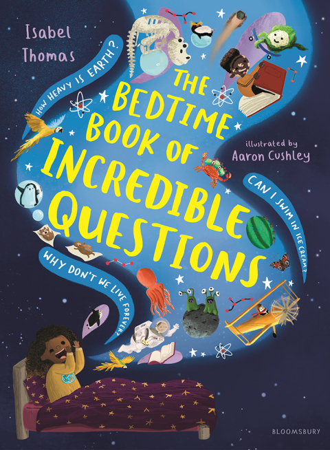 Cover image for book The Bedtime Book of Incredible Questions