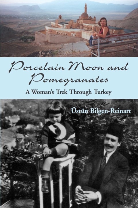 Cover image for book Porcelain Moon and Pomegranates