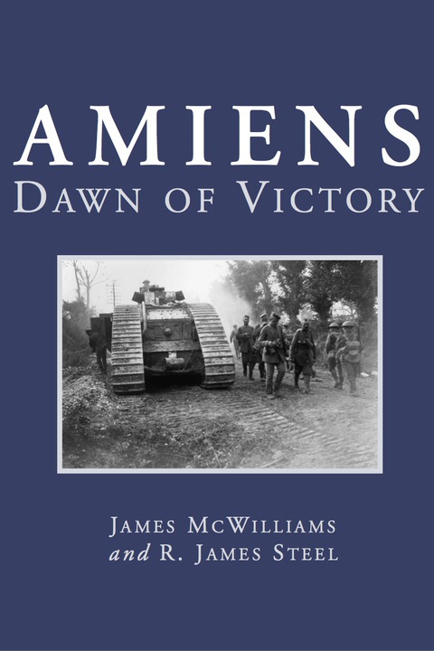 Cover image for book Amiens