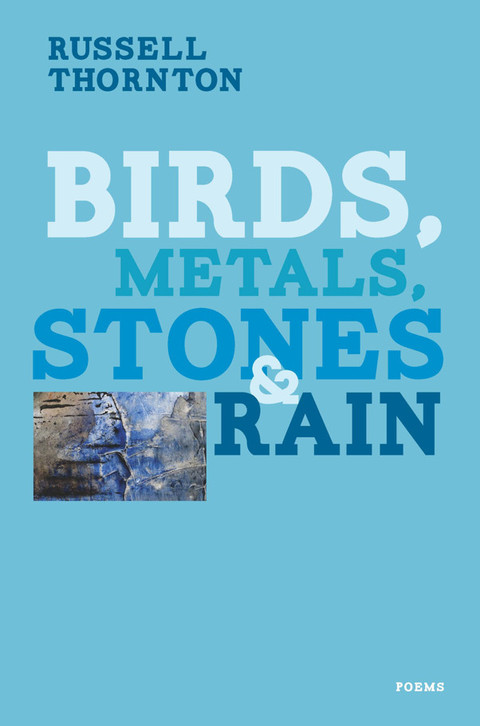 Cover image for book Birds, Metals, Stones and Rain