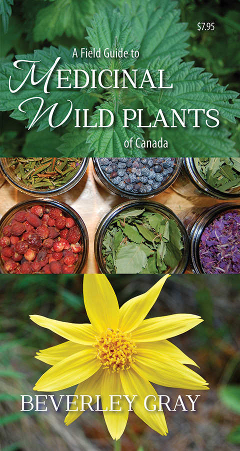 Cover image for book A Field Guide to Medicinal Wild Plants of Canada