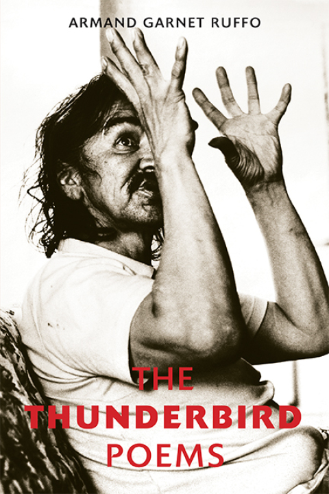 Cover image for book The Thunderbird Poems