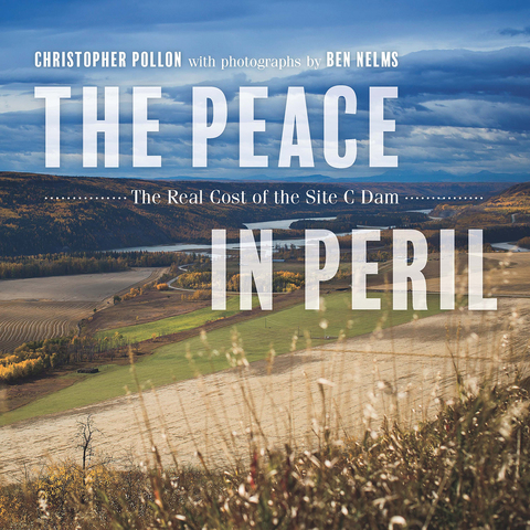 Cover image for book The Peace in Peril