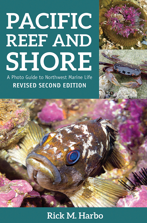 Cover image for book Pacific Reef and Shore