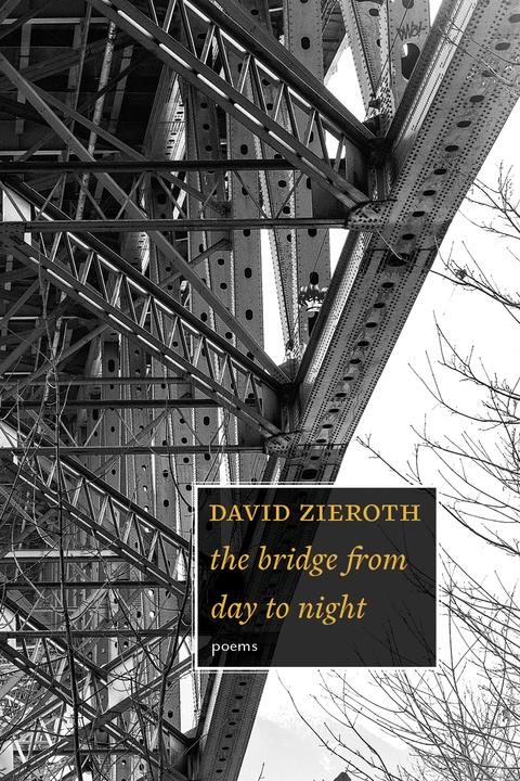 Cover image for book the bridge from day to night