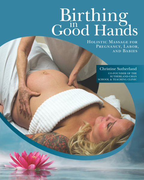 Cover image for book Birthing in Good Hands