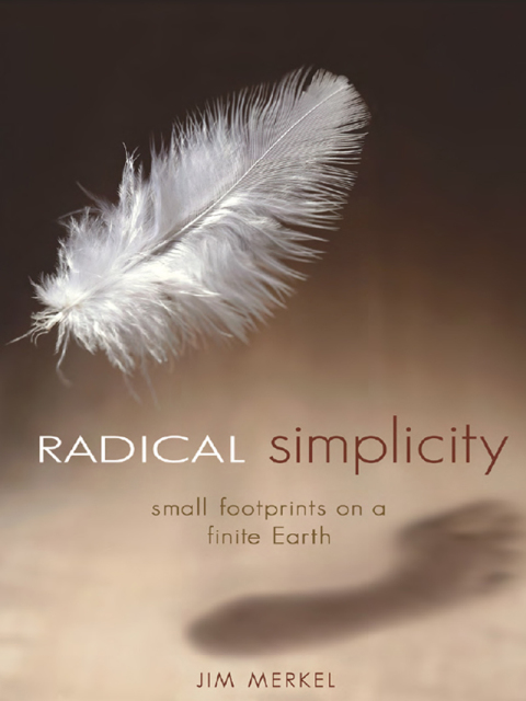 Cover image for book Radical Simplicity