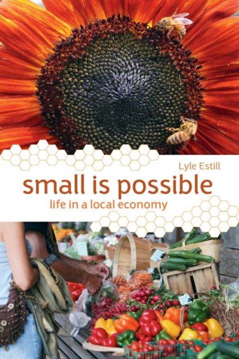 Cover image for book Small is Possible