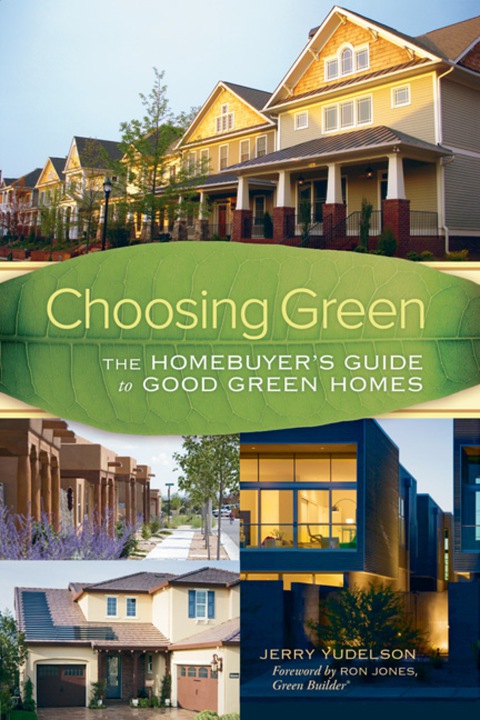 Cover image for book Choosing Green