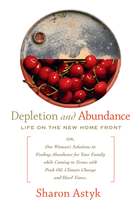Cover image for book Depletion & Abundance