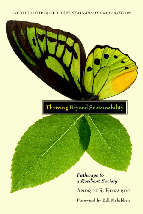 Cover image for book Thriving Beyond Sustainability